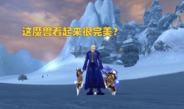 魔兽世界舅舅党最新爆料,最新爆料背后的秘密与真相