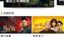 红河爆料大全缅北视频播放,红河爆料大全视频深度解析